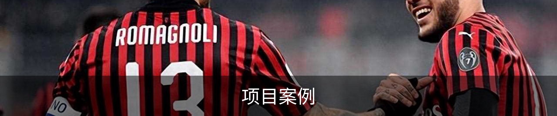 项目案例